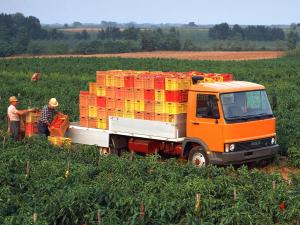 Iveco-O.M. 79-14 '1982